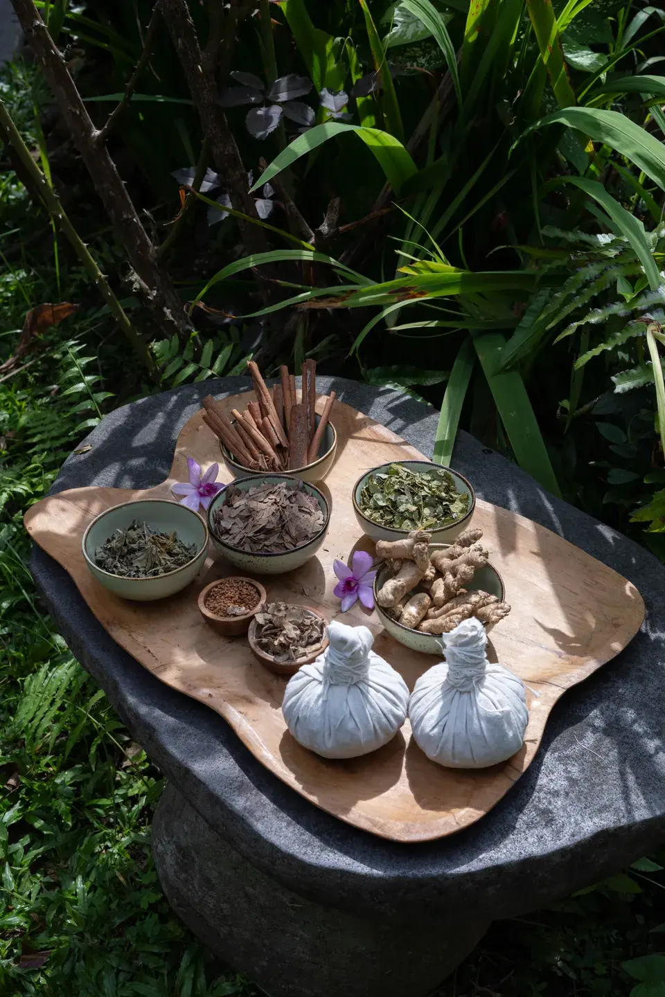 Bowls of herbs and cloth poultices ready for treatments